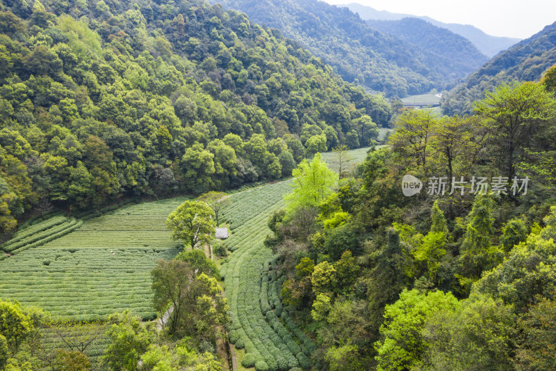 杭州西湖龙井产地梅家坞茶园航拍