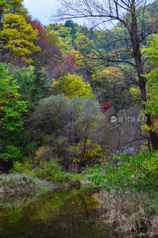 河南省洛阳白云山九龙潭秋天风景