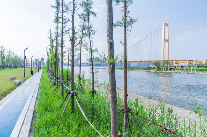 武汉洪山江滩公园风景