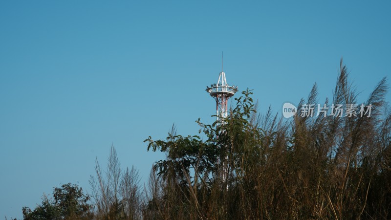 海边富士风空景