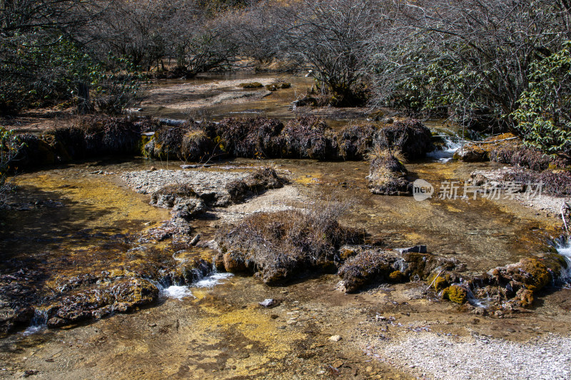 四川阿坝黄龙景区秋日山林静谧溪流