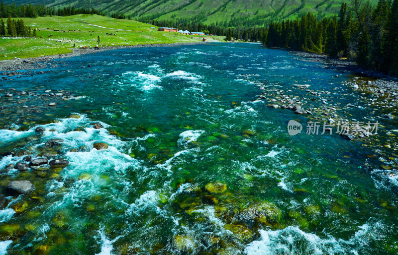 新疆阿勒泰喀纳斯河流森林自然风光