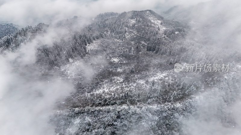 重庆酉阳：大雪纷飞赏雪忙