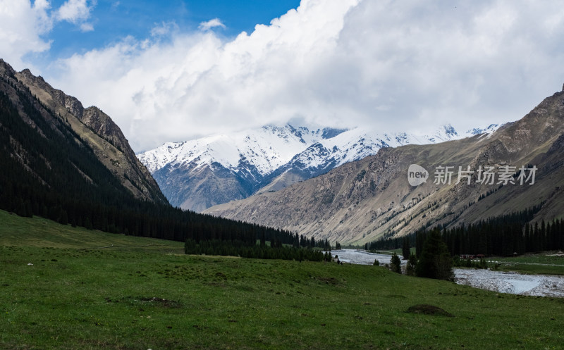 新疆伊犁蓝天白云下的雪山草原森林和小溪