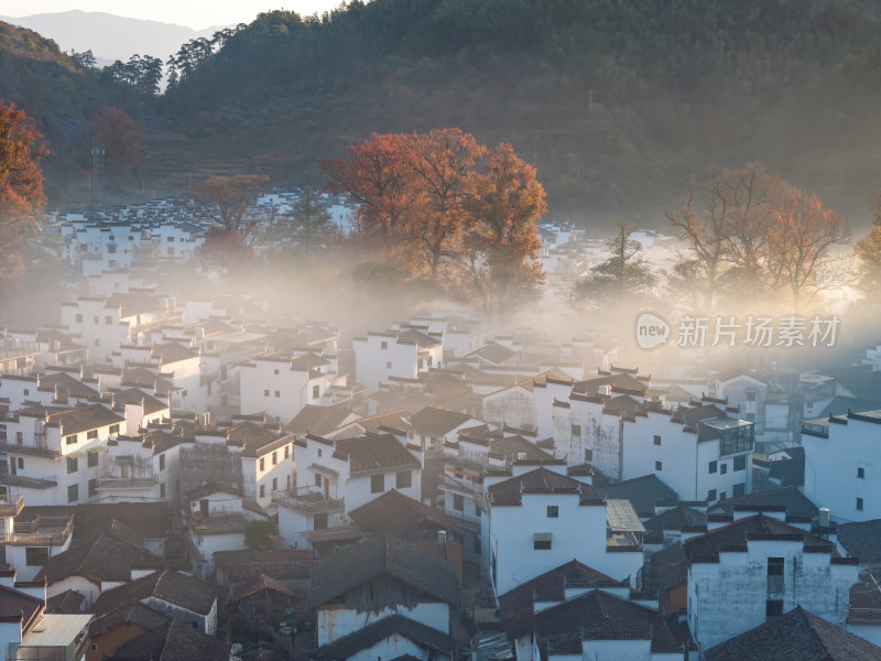 江西上饶婺源石城红枫网红景点日出晨雾航拍