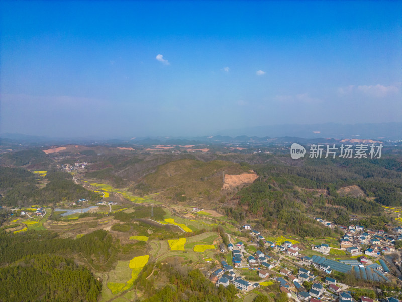 山川农田油菜花美丽乡村航拍摄影图