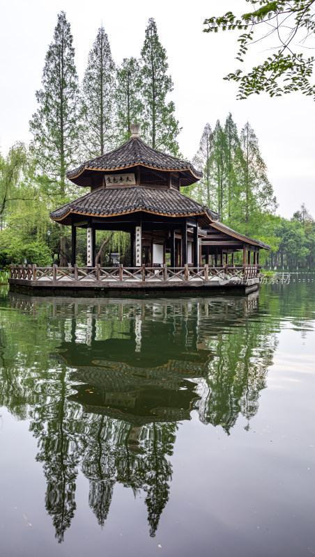 杭州西湖茅家埠黛色参天自然风景景观