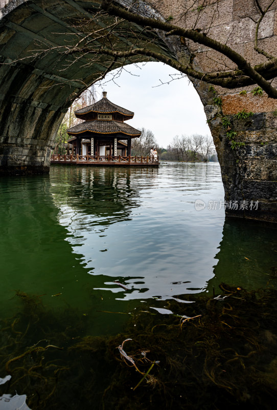 杭州西湖茅家埠黛色参天亭景点景观