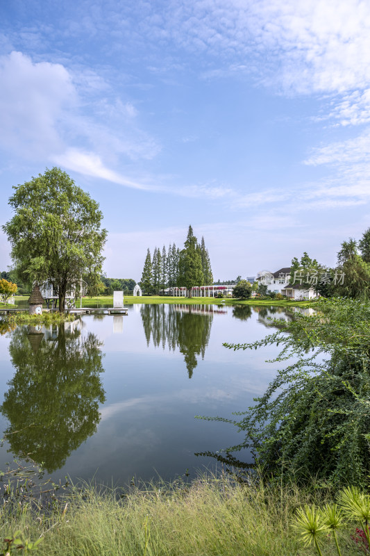 成都城市风景