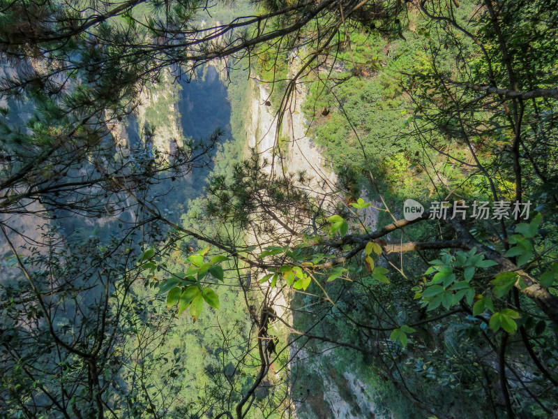 中国湖南张家界国家森林公园旅游风光