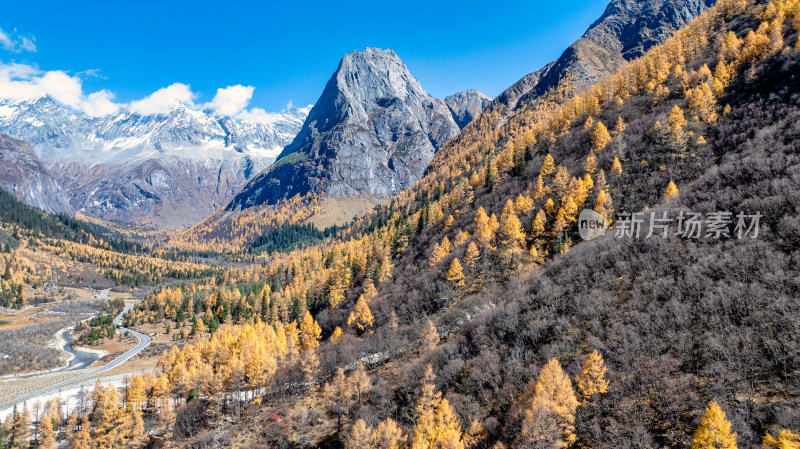 四川四姑娘山景区双桥沟的秋天秋色