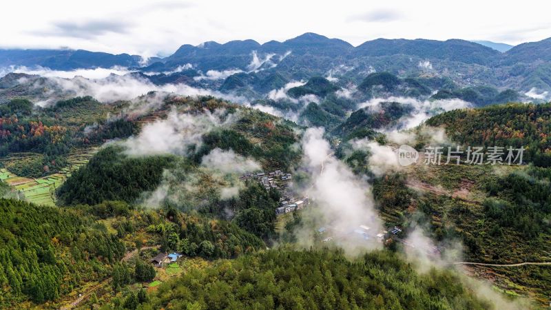 重庆酉阳：白果树边的美景