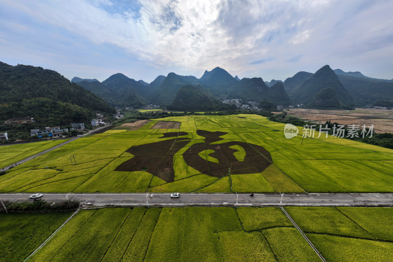 贵州黔西南万峰林福字田风光