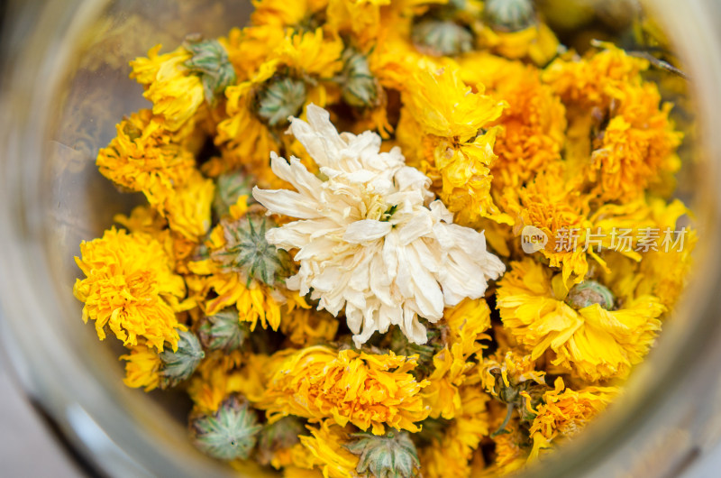 黄菊花茶堆中一颗白菊花