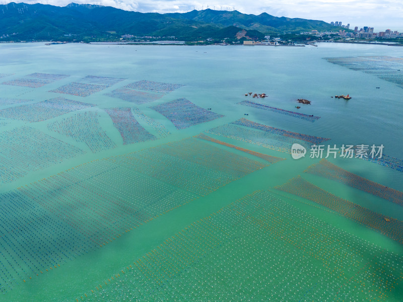 海上海鲜养殖基地航拍图