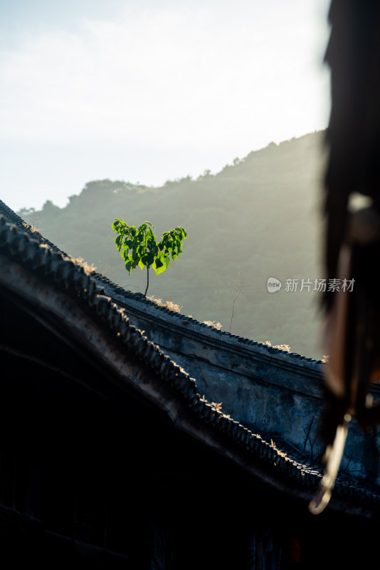 石浦古城风景