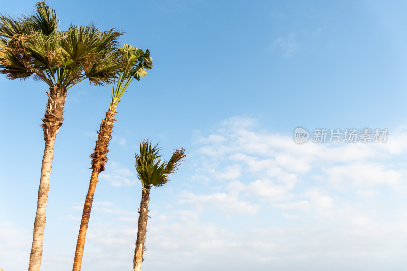 定海湾山海运动小镇