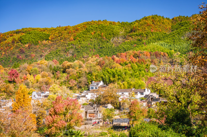 皖南秋色塔川国家森林公园