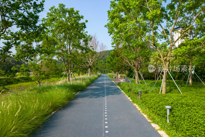 深圳环西丽湖碧道