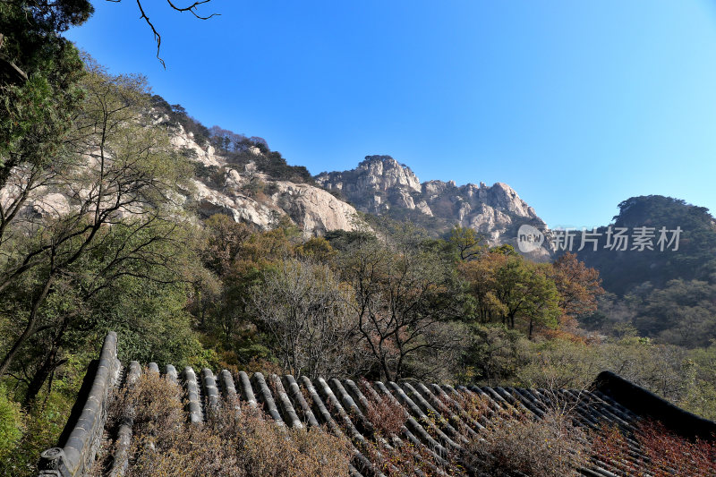 山东泰山景观