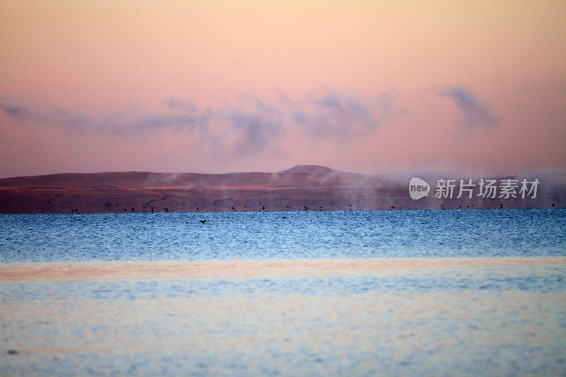 内蒙古达里湖晨雾中飞翔的水鸟