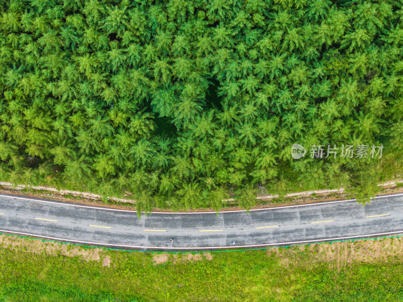 崇礼滑雪小镇森林道路五道沟山谷航拍风光