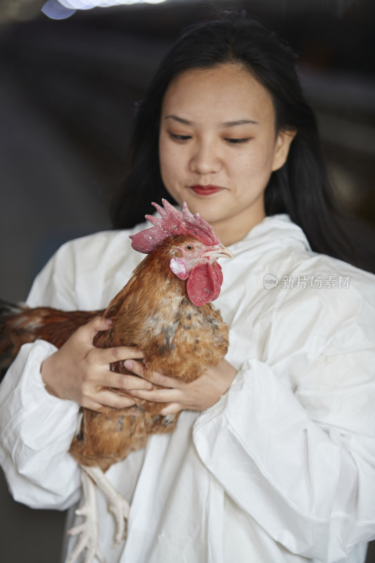 身穿防护服怀抱家禽的年轻女性饲养员