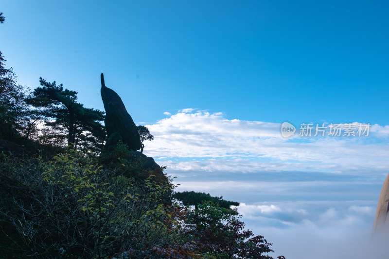 天下第一奇山，安徽黄山云海风光