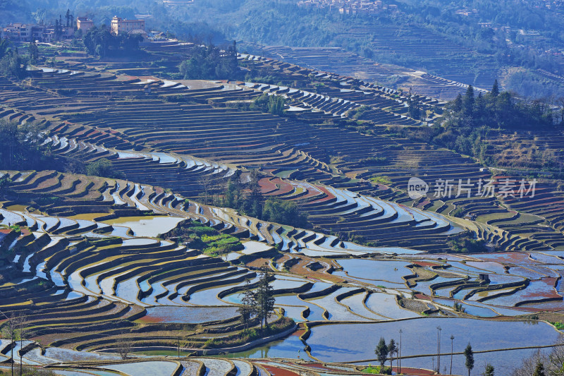 云南元阳梯田，灌水期，七彩梯田