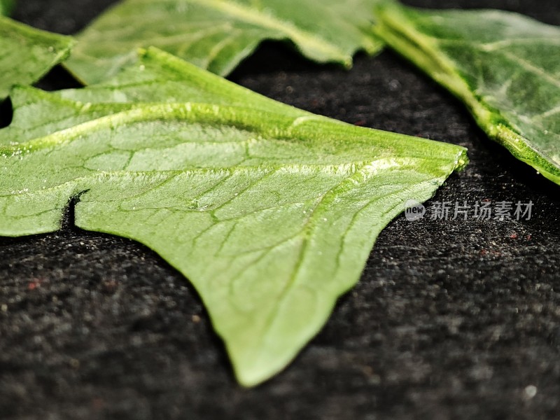 特写新鲜绿色蔬菜叶片