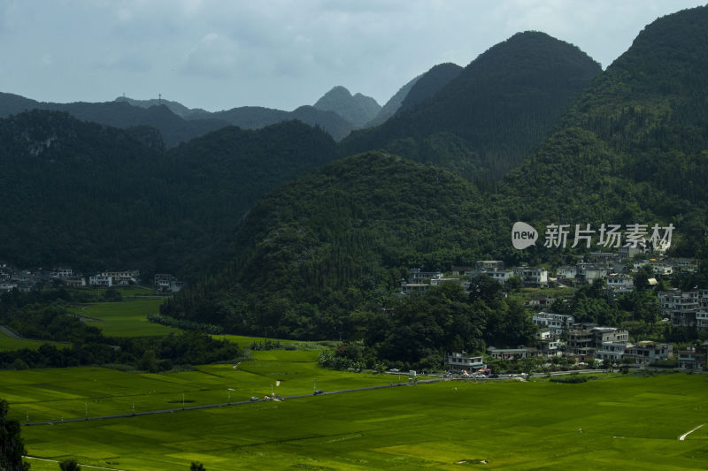 稻田 群山 天空 水稻