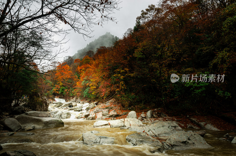 光雾山红叶彩林溪流河谷山谷漂亮壮观