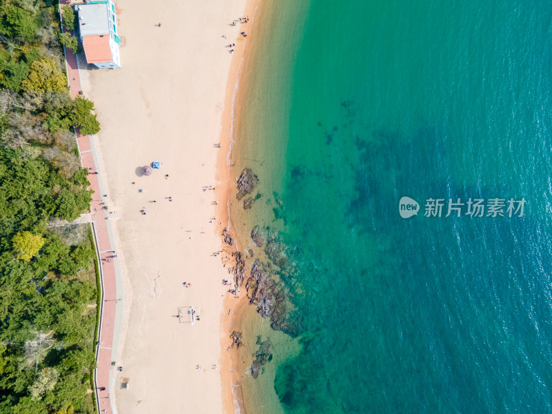 青岛航拍八大关风景区