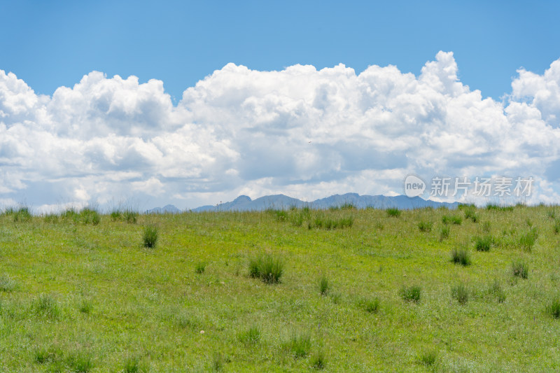 新疆琼库什台风景