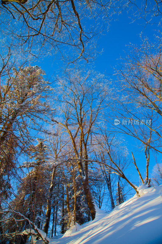 黑龙江 双峰林场 雪乡