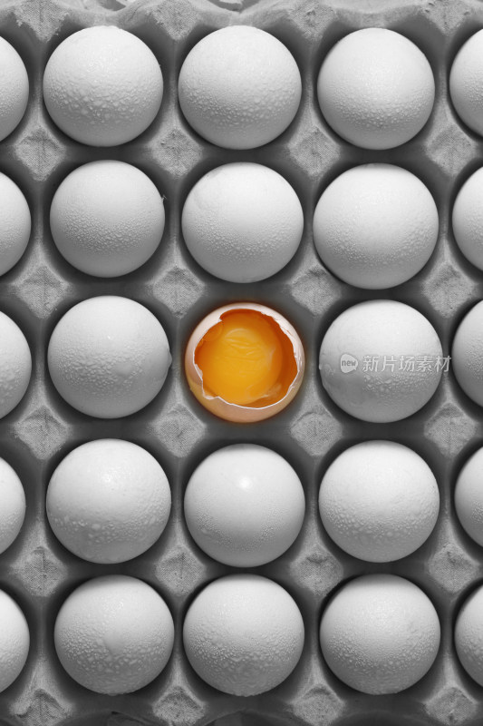白色背景上的一排鸡蛋