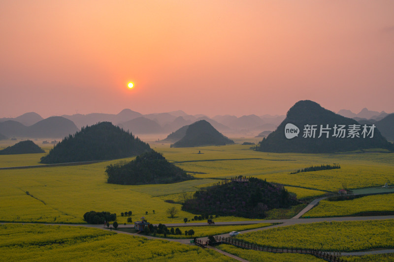 云南罗平油菜花花海