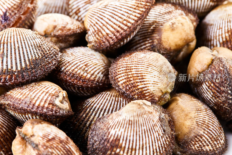 海鲜 美食 新鲜 美味 贝壳 扇贝