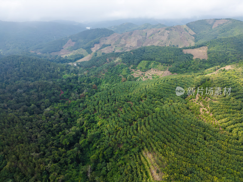 航拍山区绿色生态农业景观