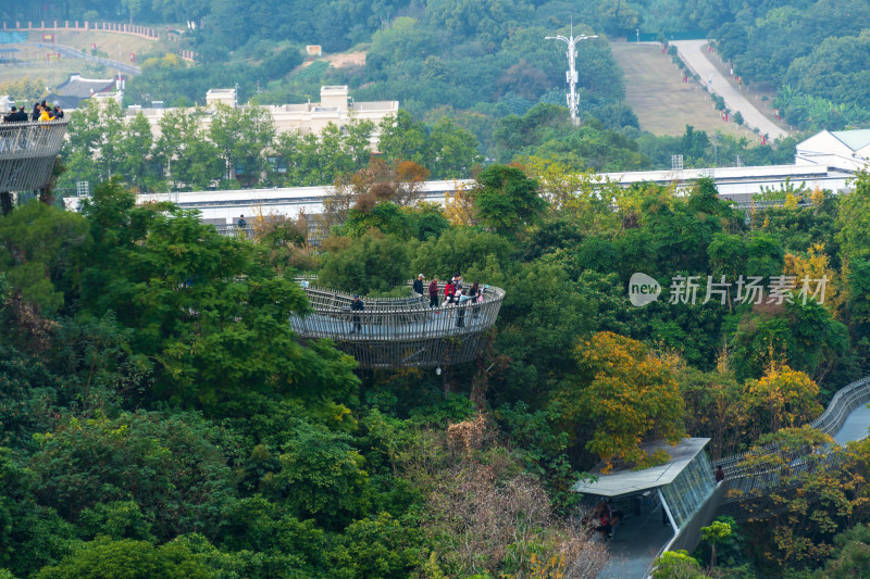 福州福道山林中蜿蜒的观景步道