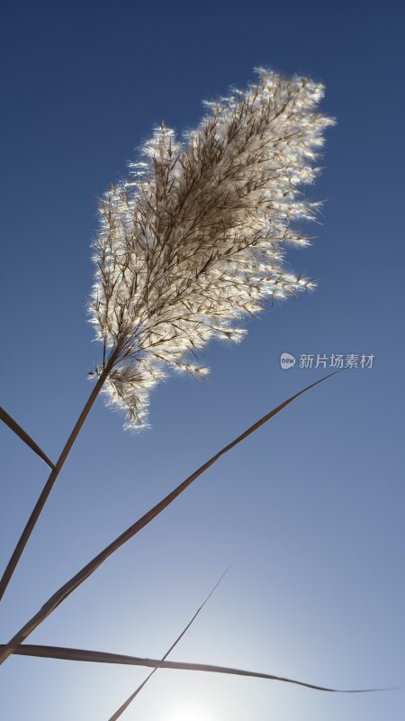 随手拍，自然风光，大海，海鸥，沙漠