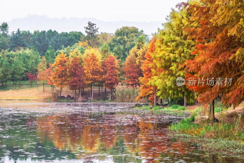 南京钟山风景名胜区明孝陵风景