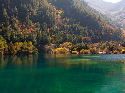 九寨沟秋景