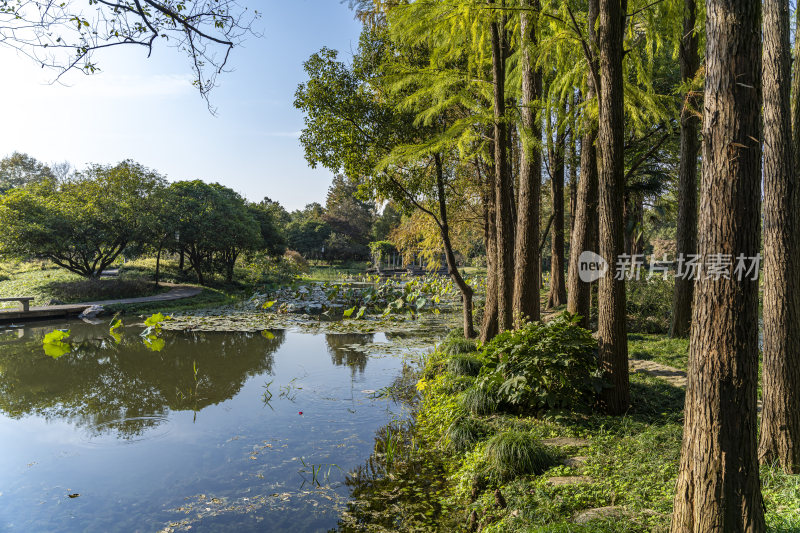 杭州西子湖畔杭州花圃风景