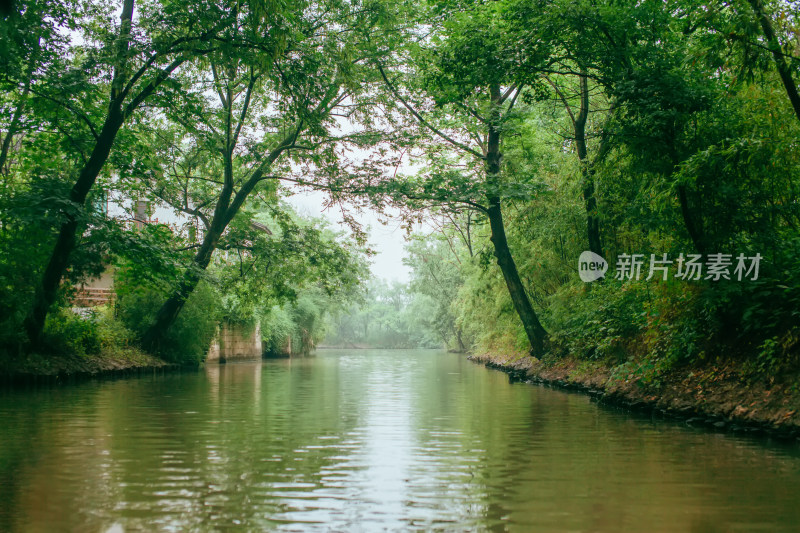 杭州西溪湿地自然风光