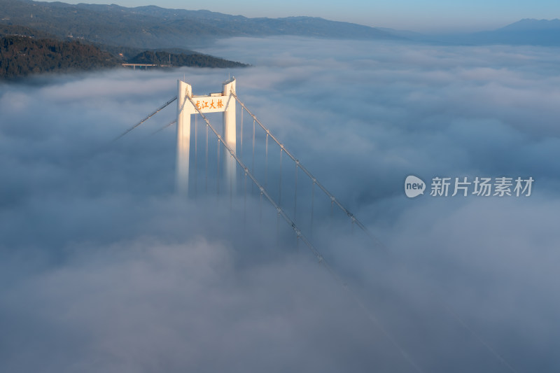 龙江大桥云雾缭绕的壮观景象