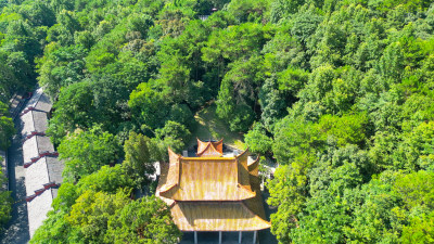 航拍湖南株洲炎帝陵5A景区