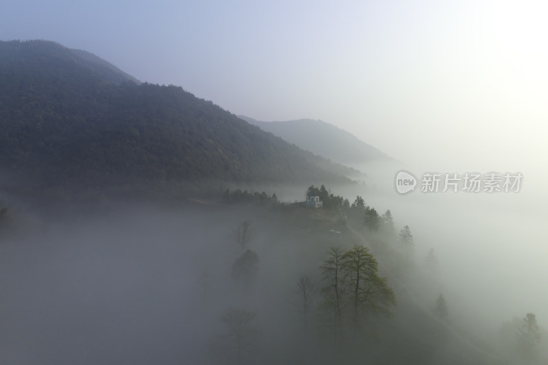 杭州大径山茶园风光