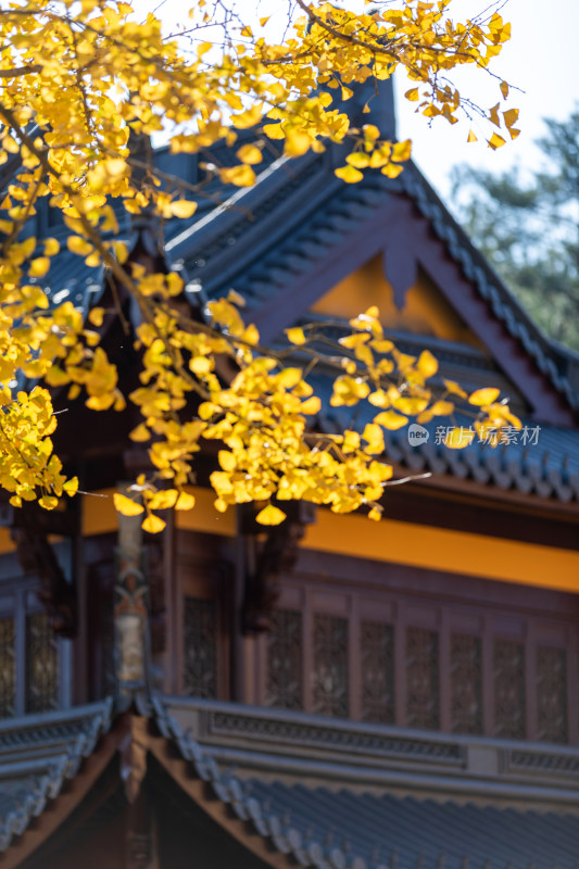 宁波奉化雪窦山雪窦寺弥勒大佛景区