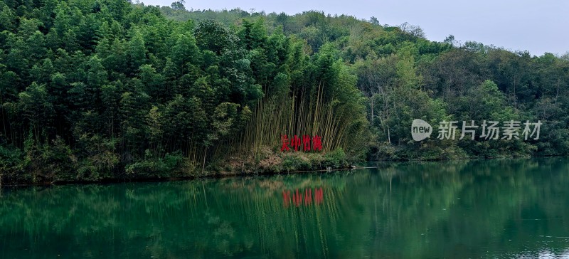 湖边茂密竹林自然景观